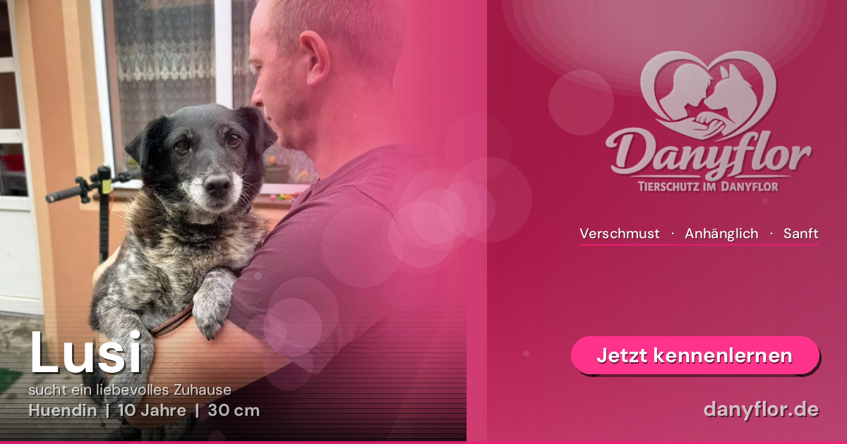 Facebook-Bild für Lusi