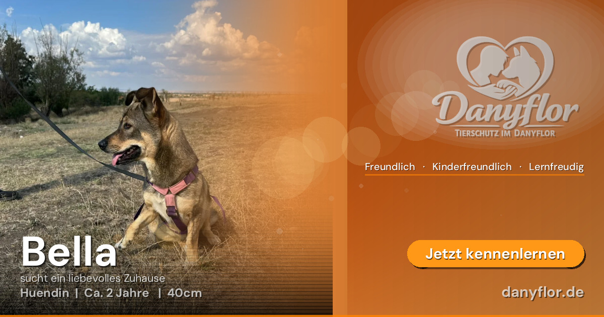 Facebook-Bild für Bella