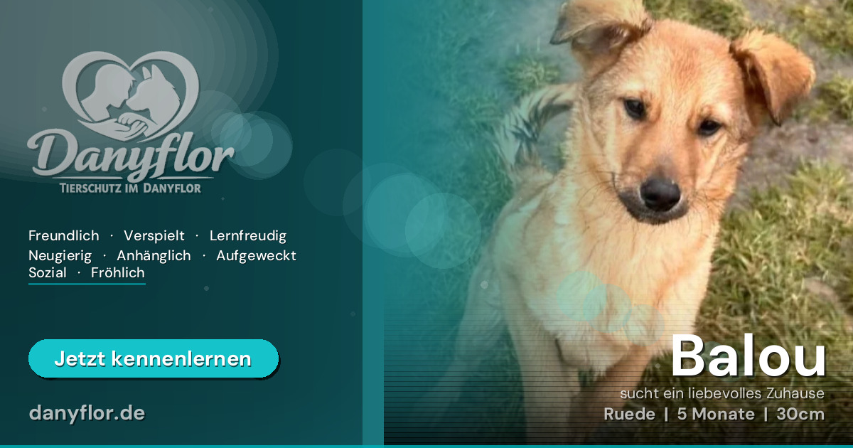 Facebook-Bild für Balou