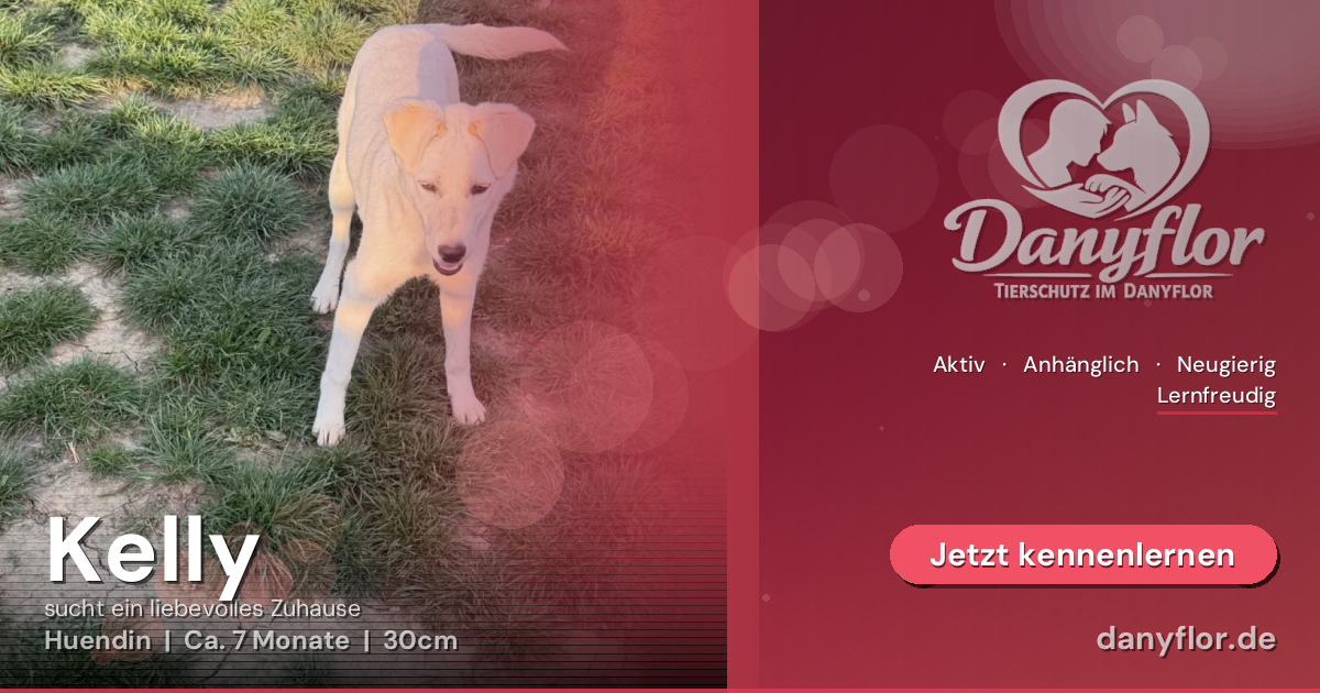 Facebook-Bild für Kelly