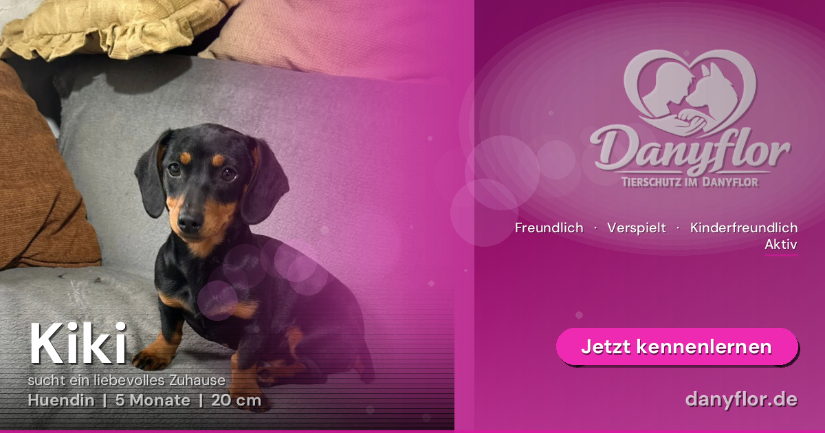 Facebook-Bild für Kiki