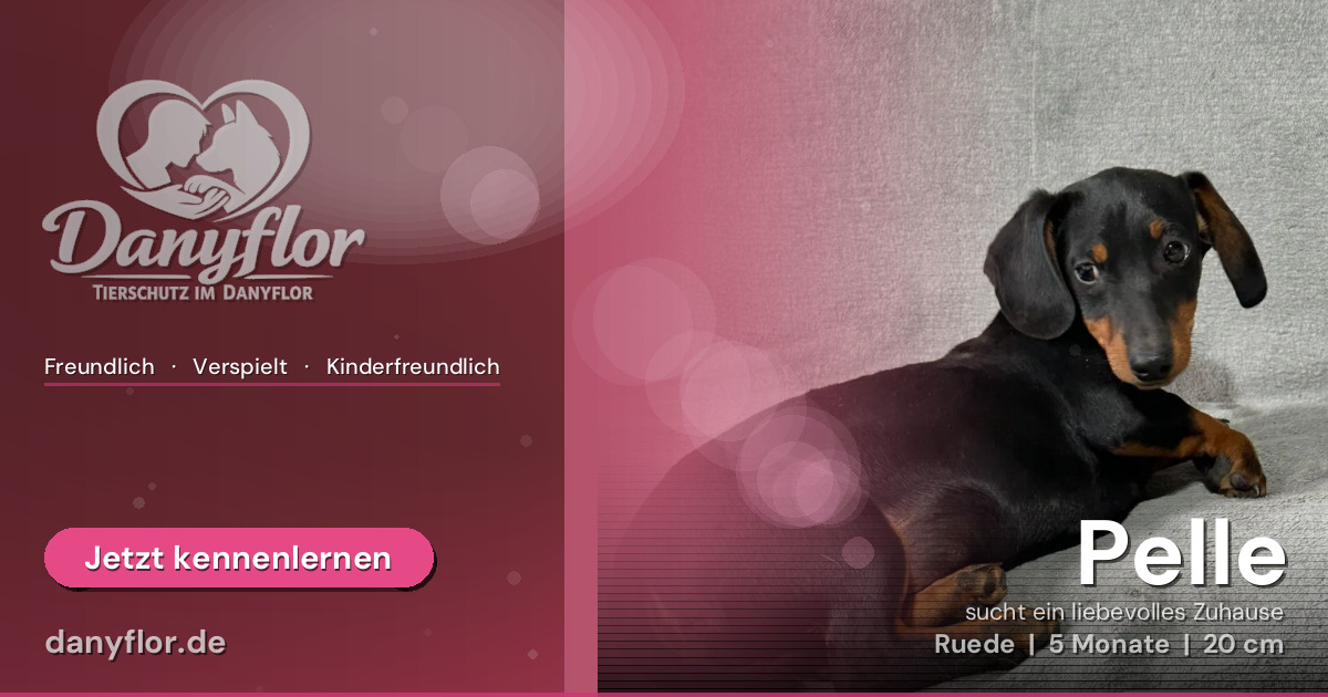 Facebook-Bild für Pelle