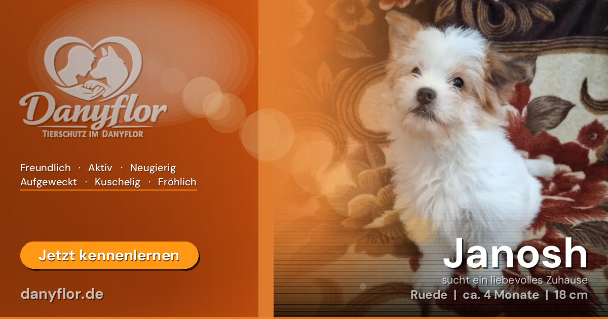 Facebook-Bild für Janosh