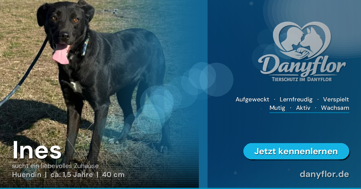 Facebook-Bild für Ines