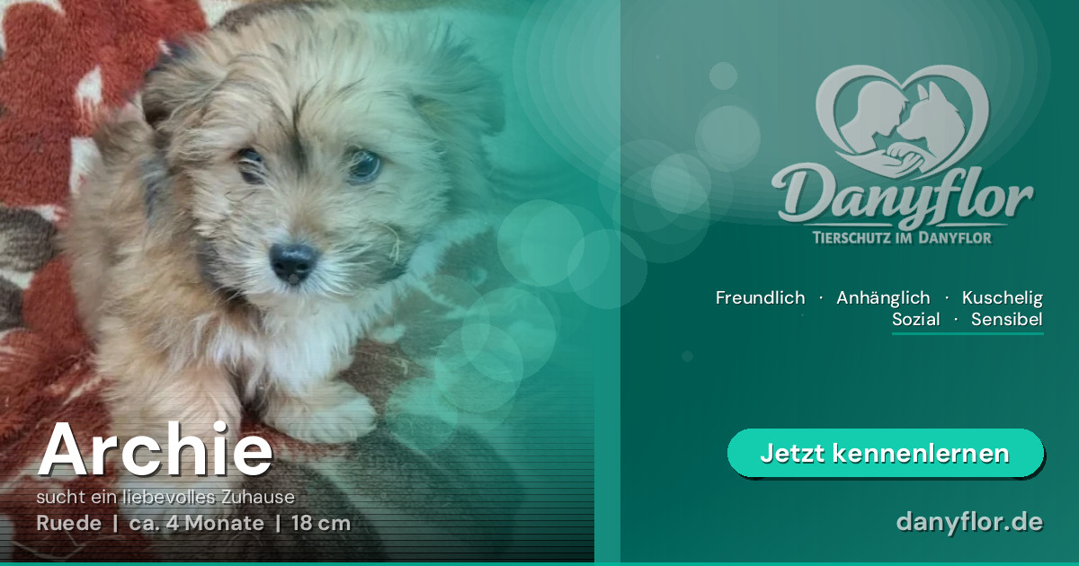 Facebook-Bild für Archie