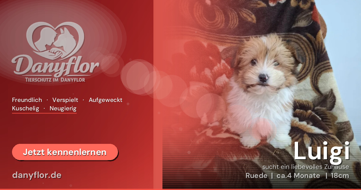 Facebook-Bild für Luigi