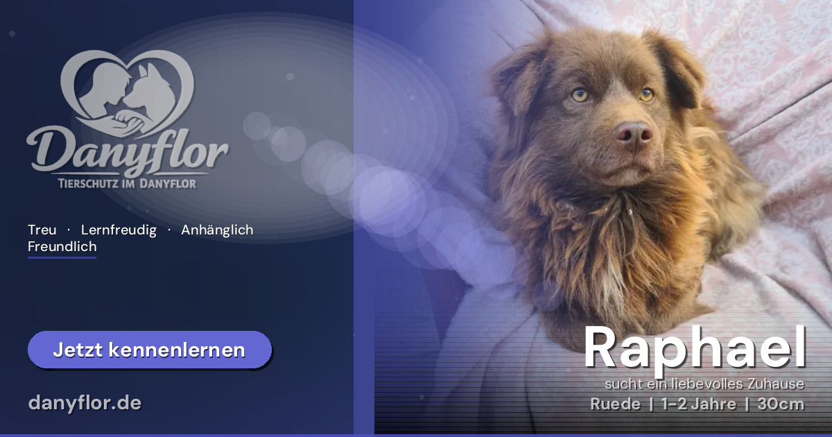 Facebook-Bild für Raphael