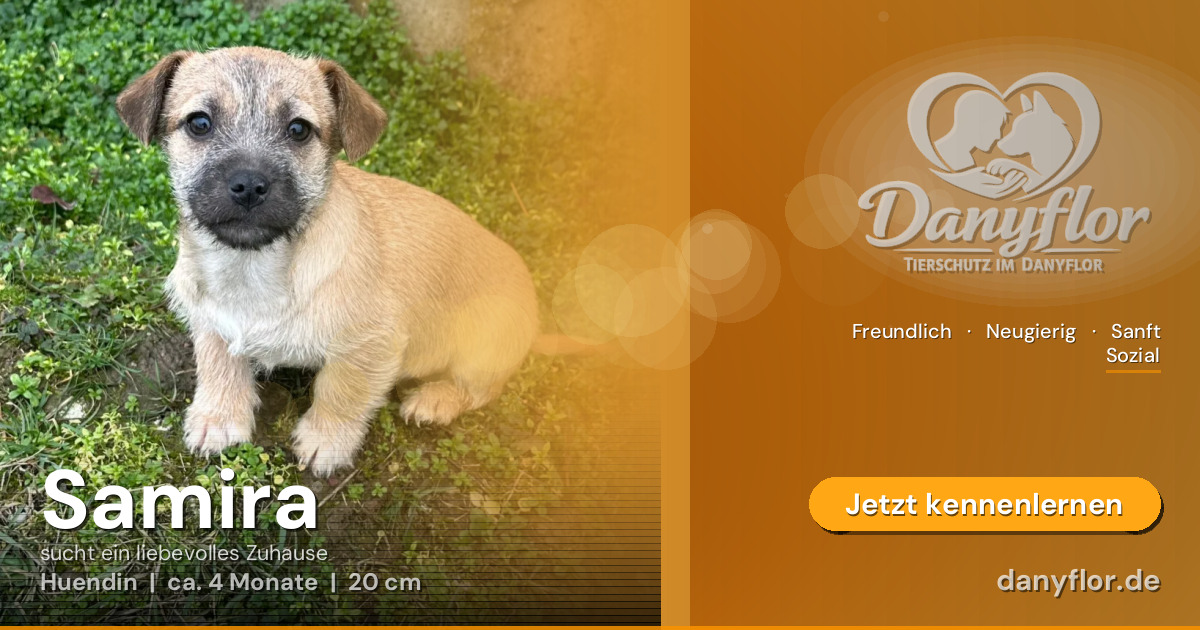 Facebook-Bild für Samira