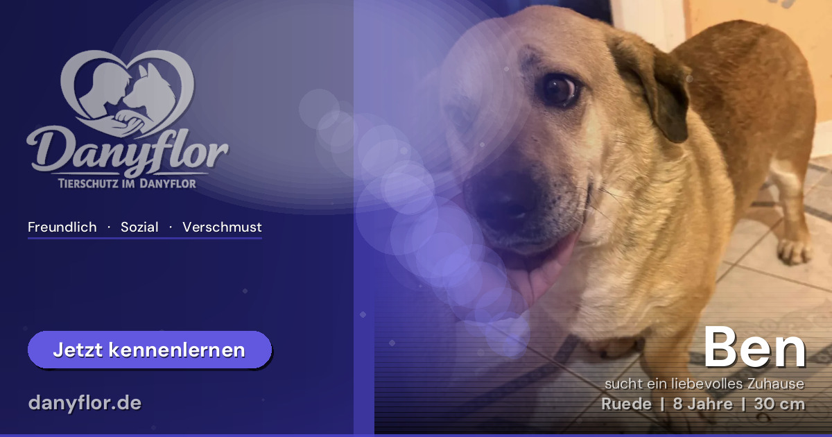 Facebook-Bild für Ben