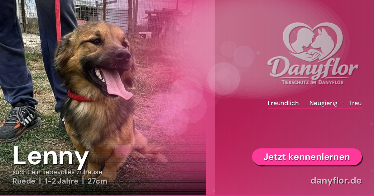 Facebook-Bild für Lenny