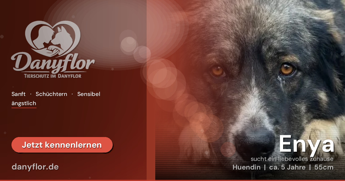 Facebook-Bild für Enya