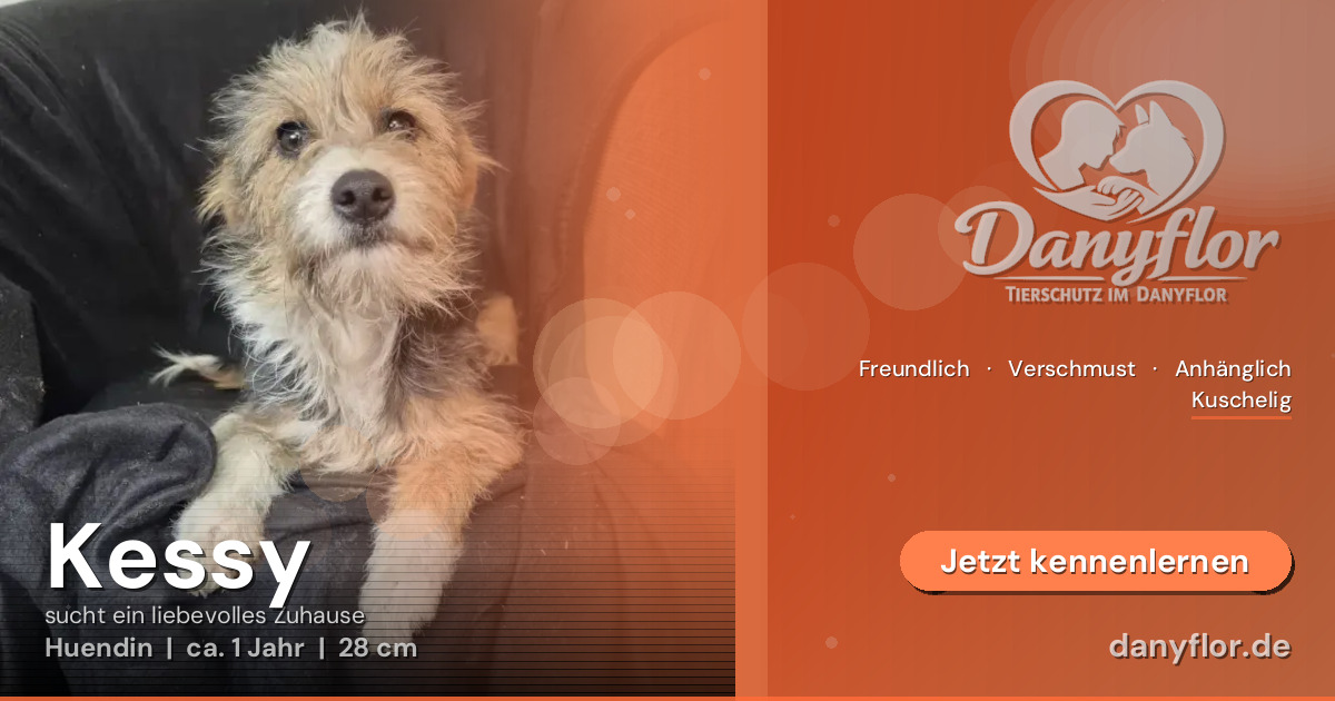 Facebook-Bild für Kessy