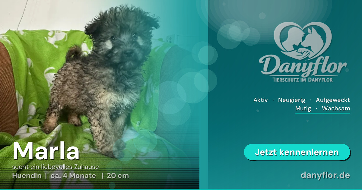 Facebook-Bild für Marla