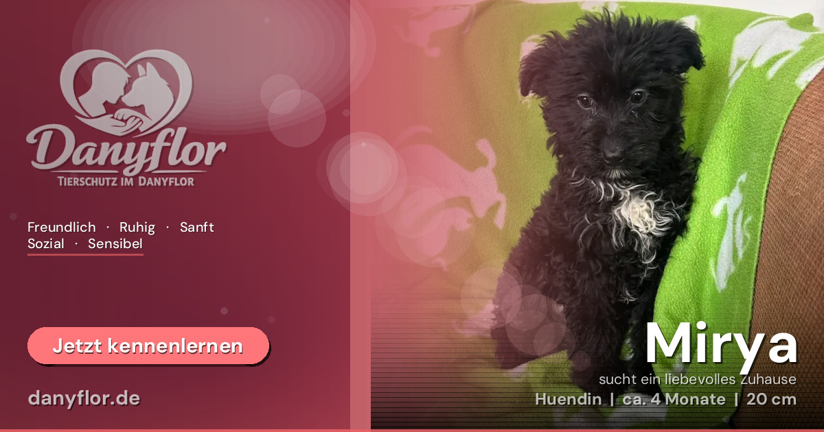 Facebook-Bild für Mirya