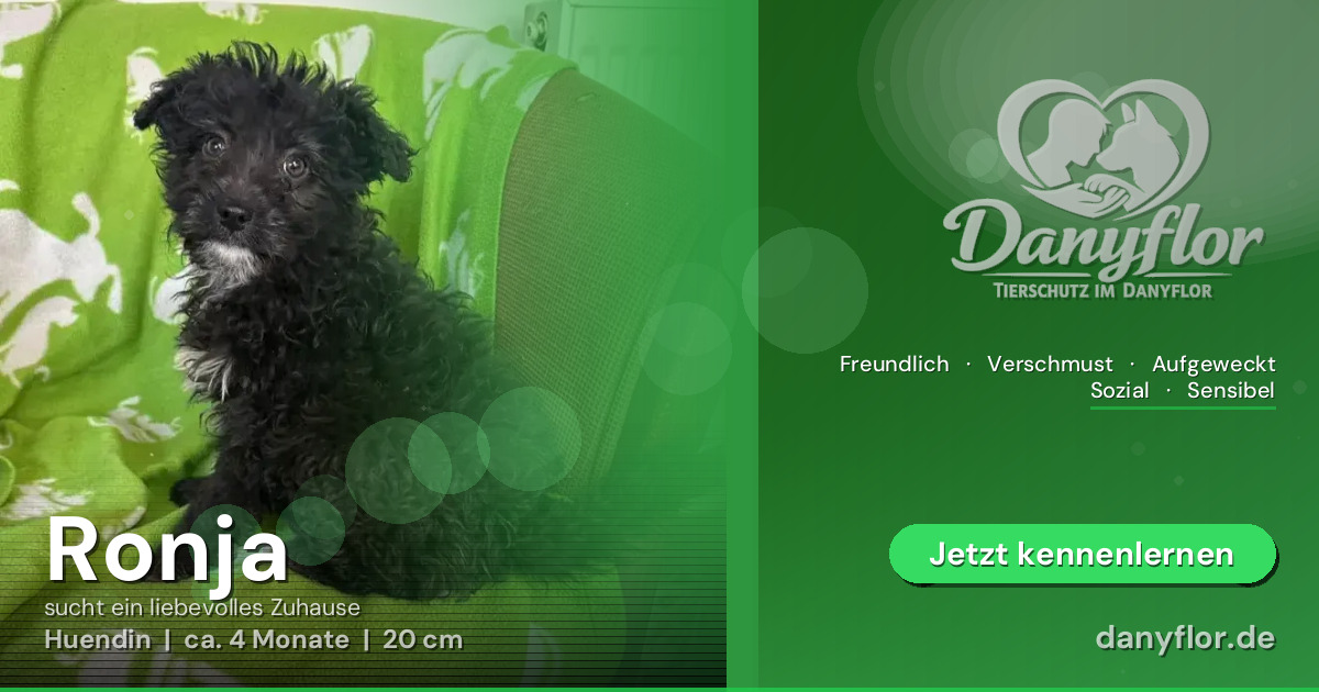 Facebook-Bild für Ronja