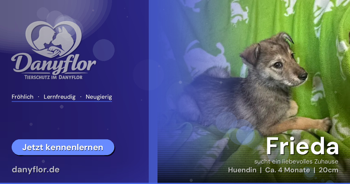 Facebook-Bild für Frieda