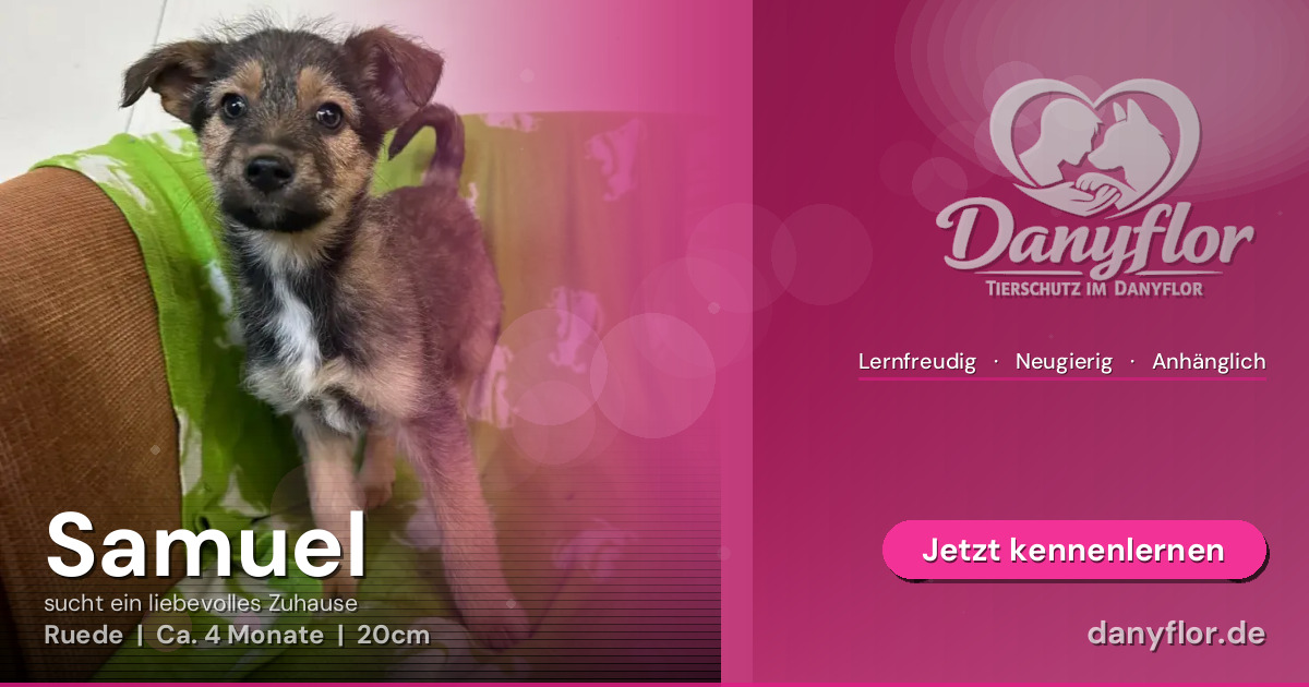 Facebook-Bild für Samuel