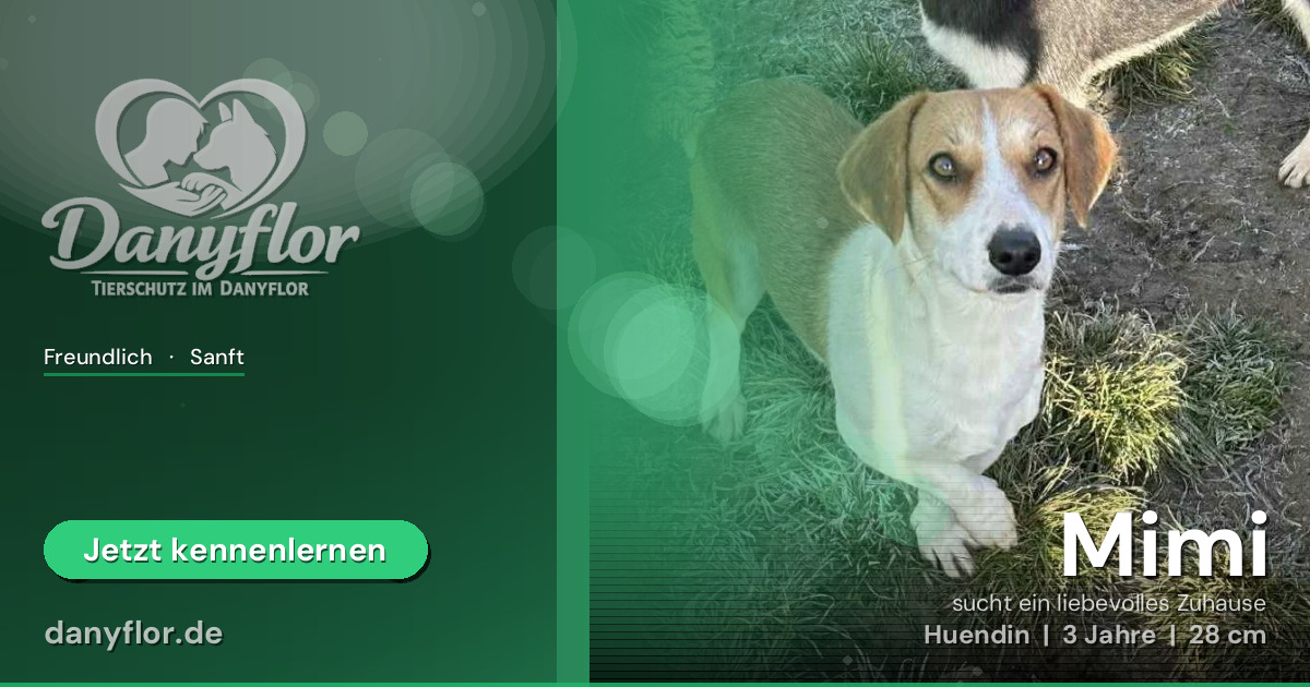 Facebook-Bild für Mimi