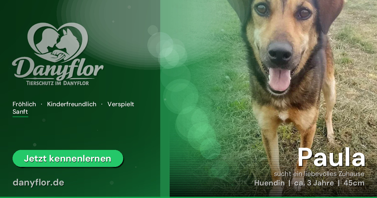 Facebook-Bild für Paula