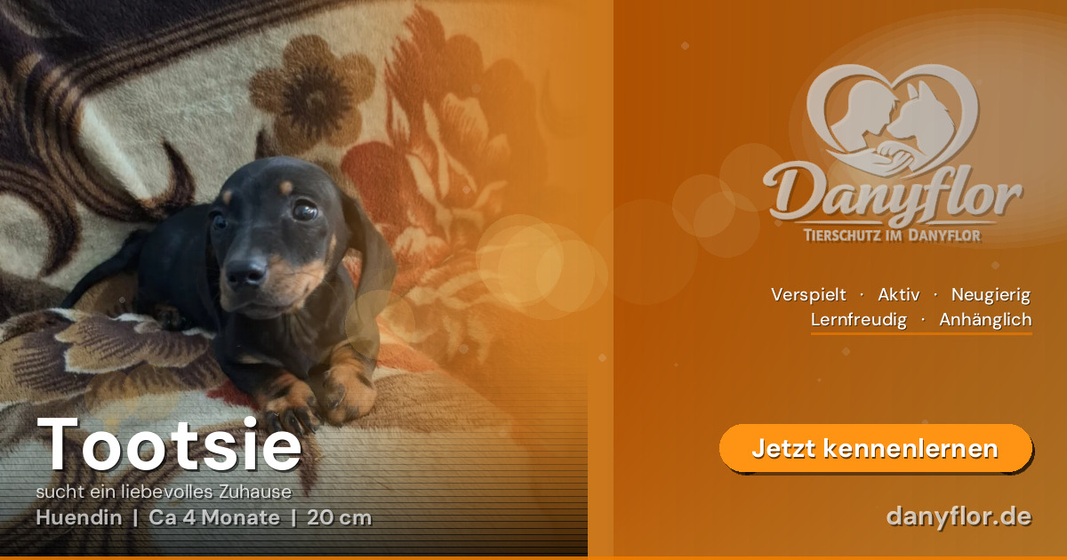 Facebook-Bild für Tootsie