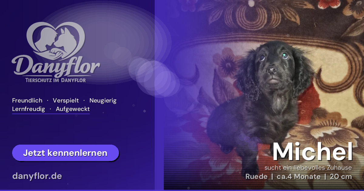 Facebook-Bild für Michel