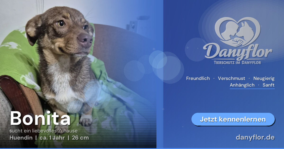 Facebook-Bild für Bonita 