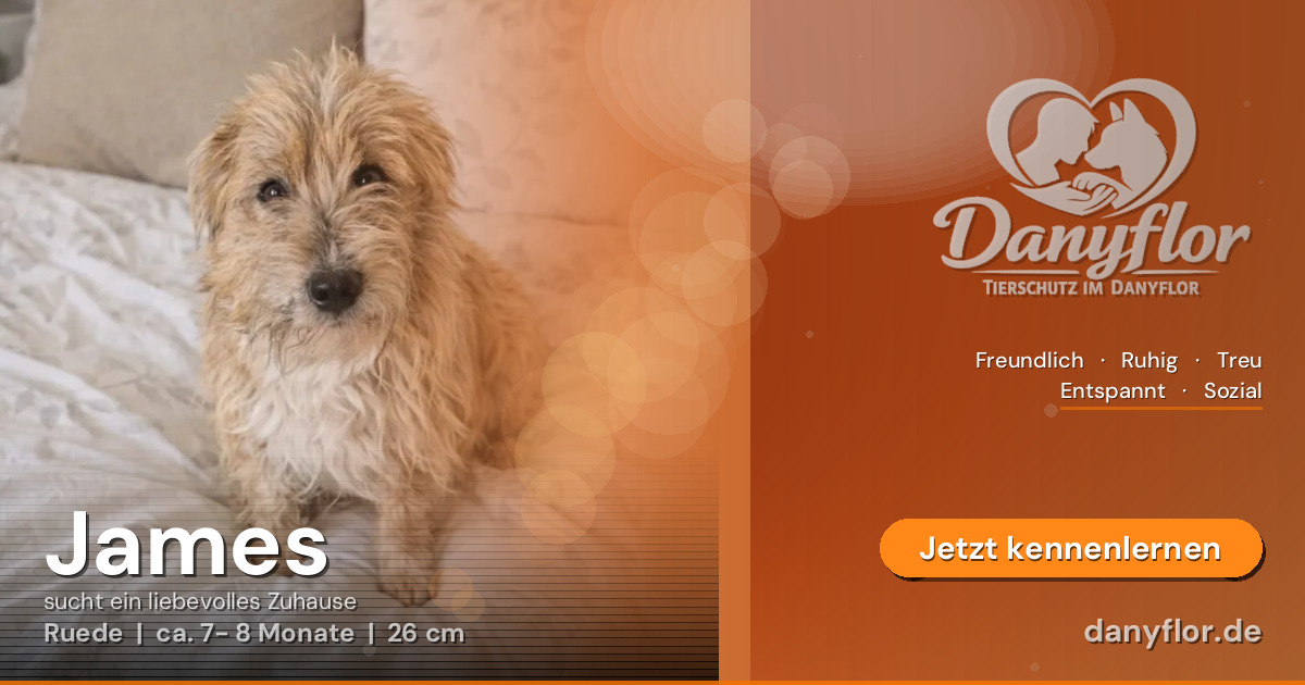 Facebook-Bild für James