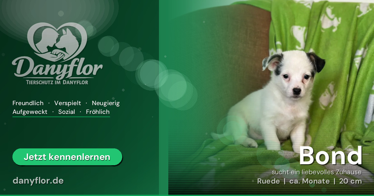 Facebook-Bild für Bond