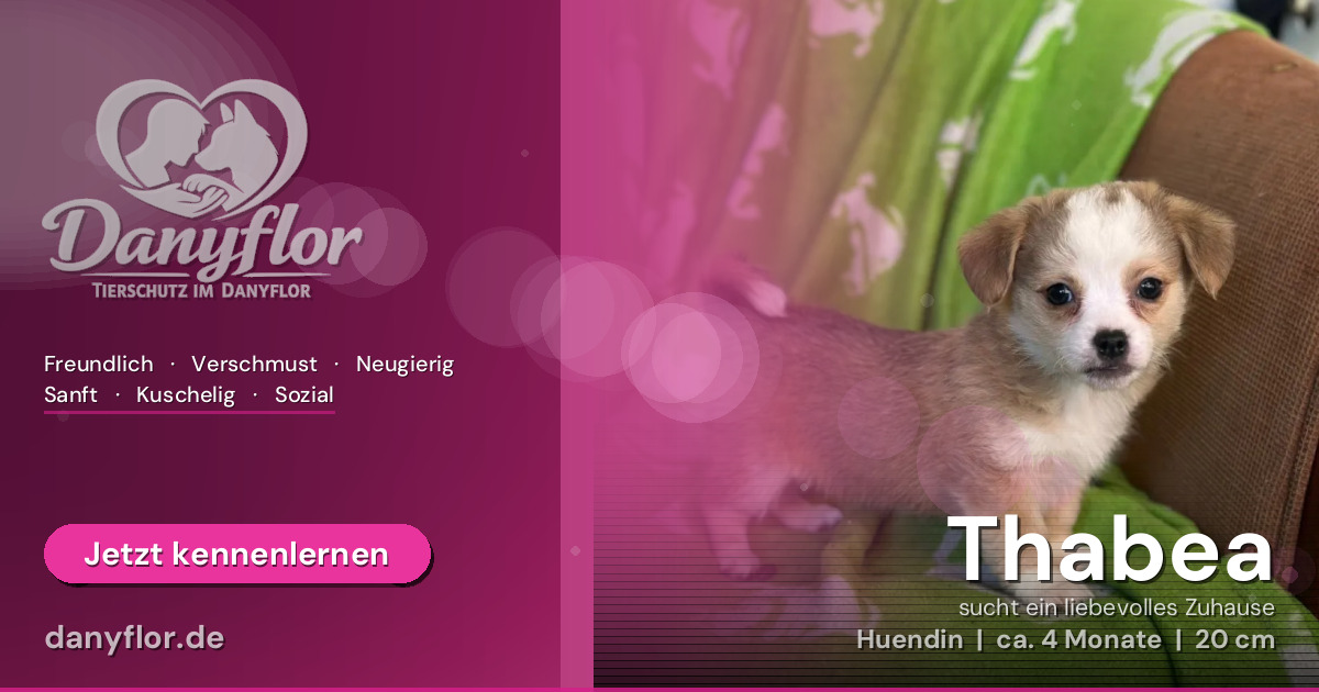 Facebook-Bild für Thabea