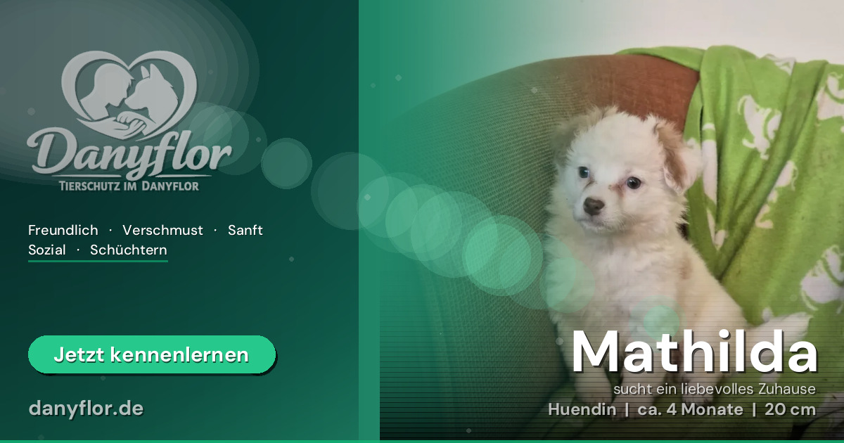 Facebook-Bild für Mathilda