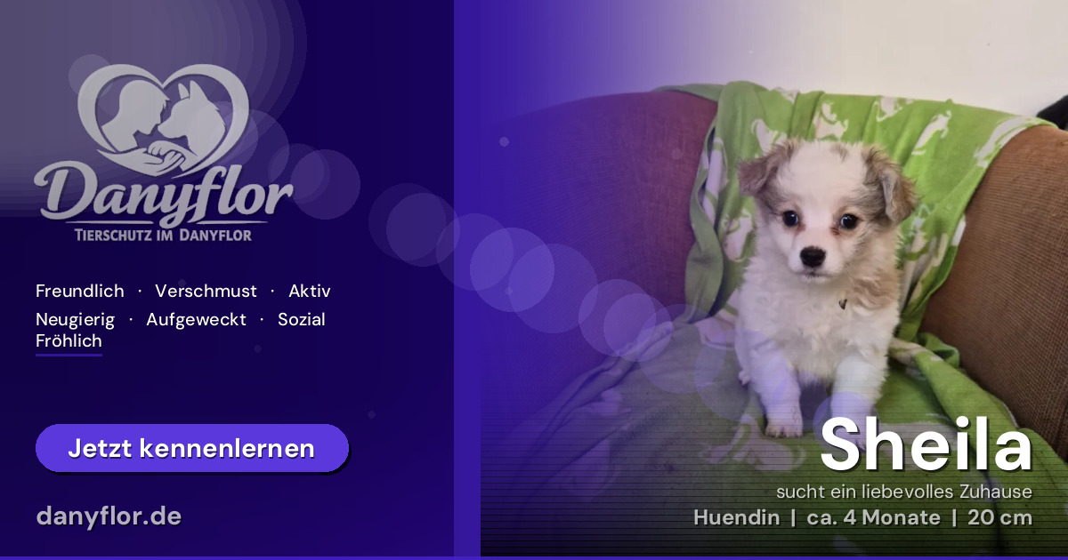 Facebook-Bild für Sheila