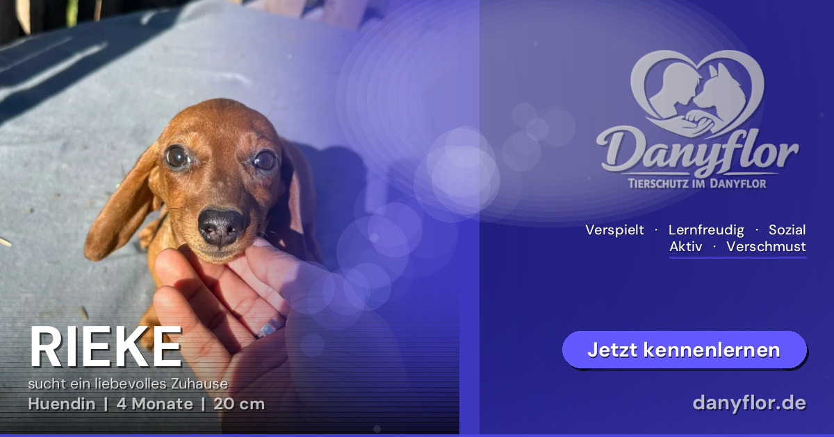 Facebook-Bild für RIEKE