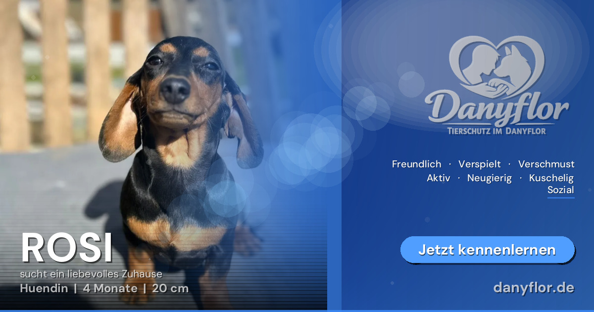 Facebook-Bild für ROSI