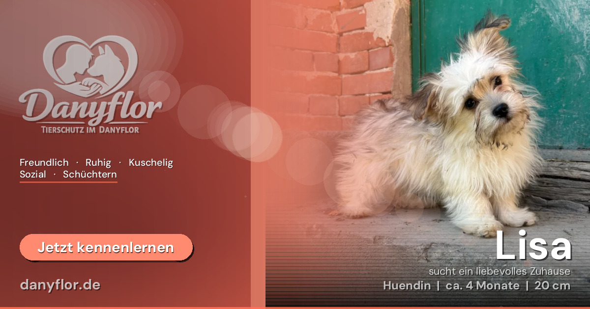 Facebook-Bild für Lisa