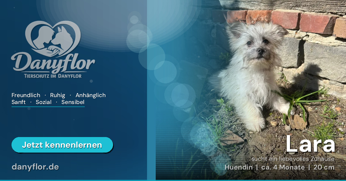 Facebook-Bild für Lara