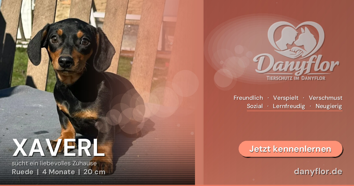 Facebook-Bild für XAVERL