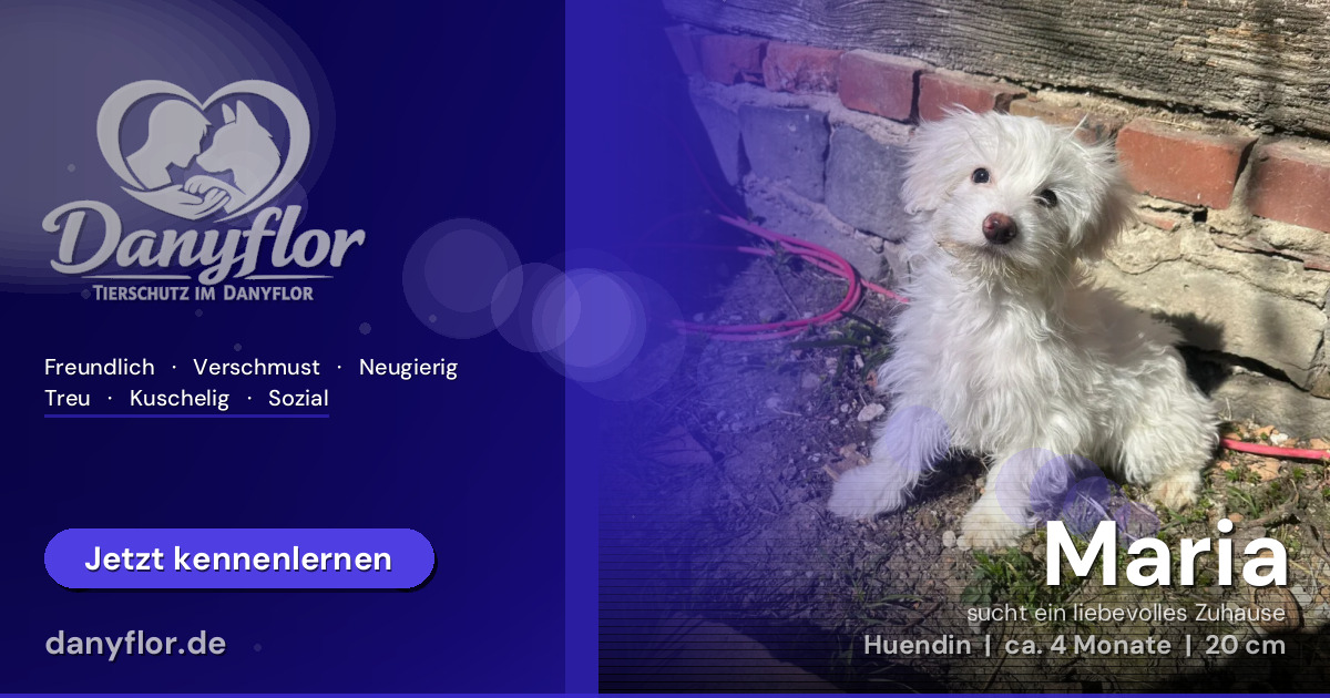 Facebook-Bild für Maria