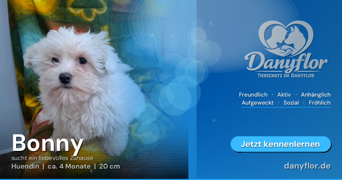 Facebook-Bild für Bonny