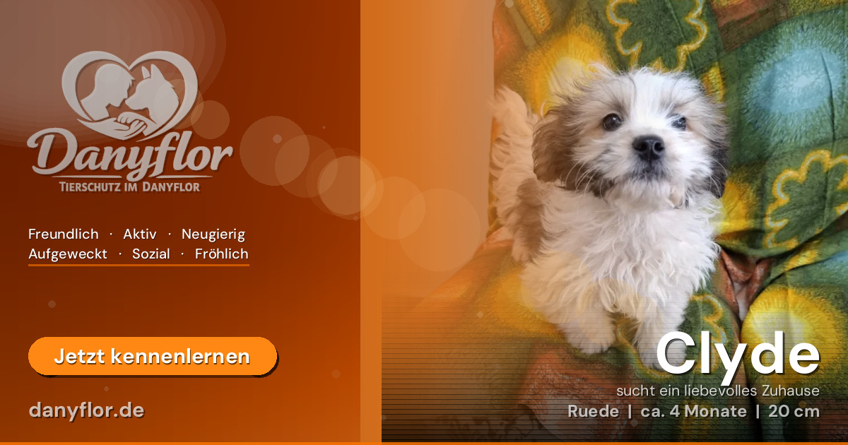 Facebook-Bild für Clyde