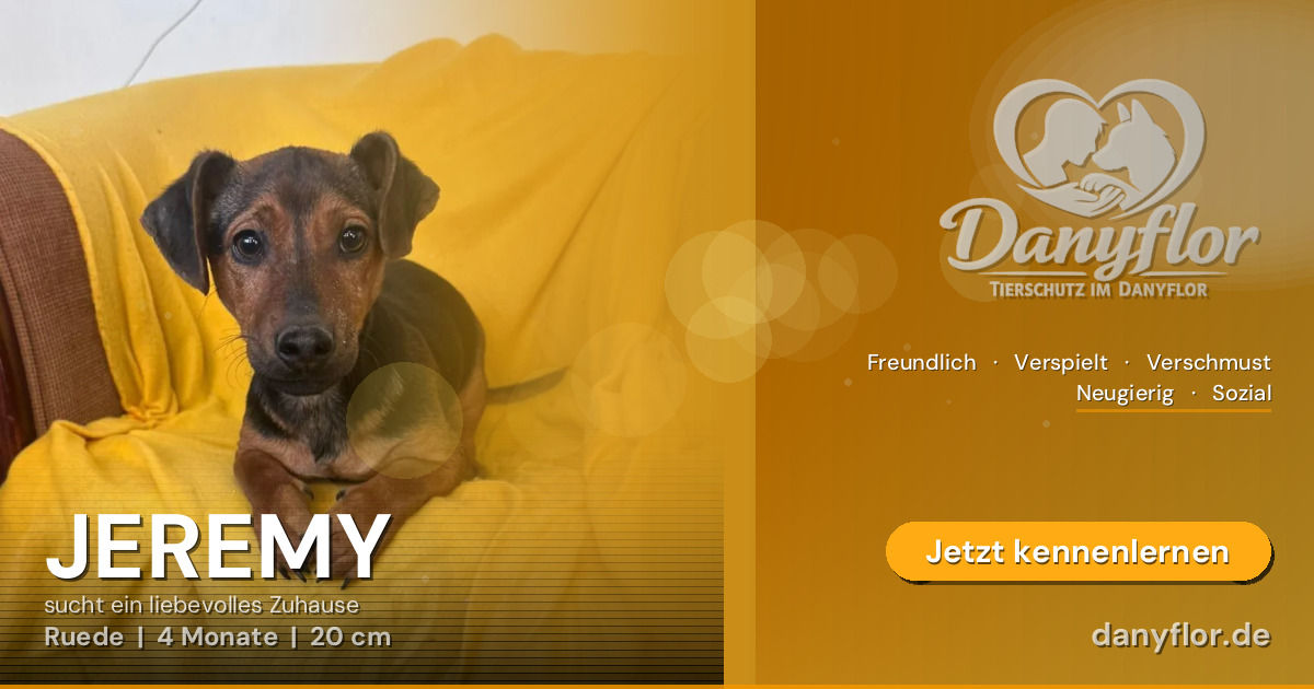 Facebook-Bild für JEREMY