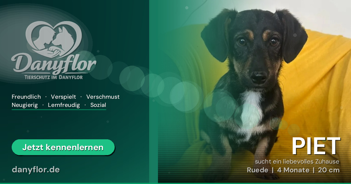 Facebook-Bild für PIET