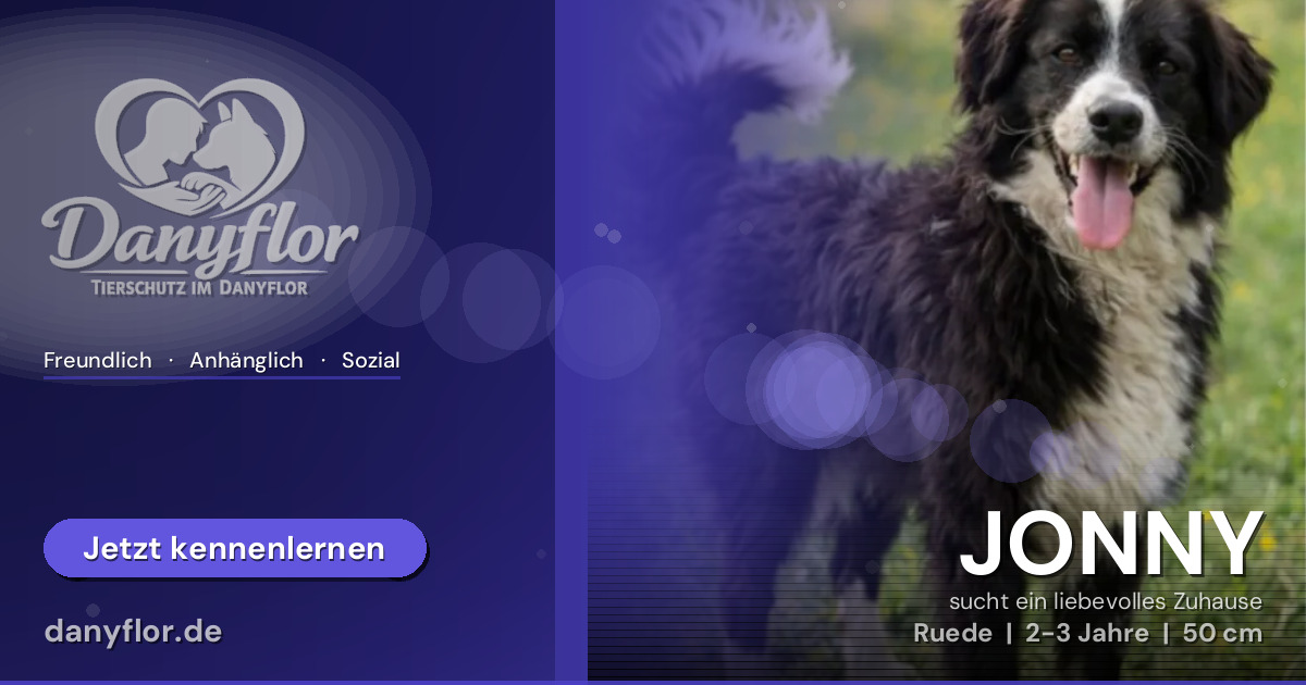 Facebook-Bild für JONNY