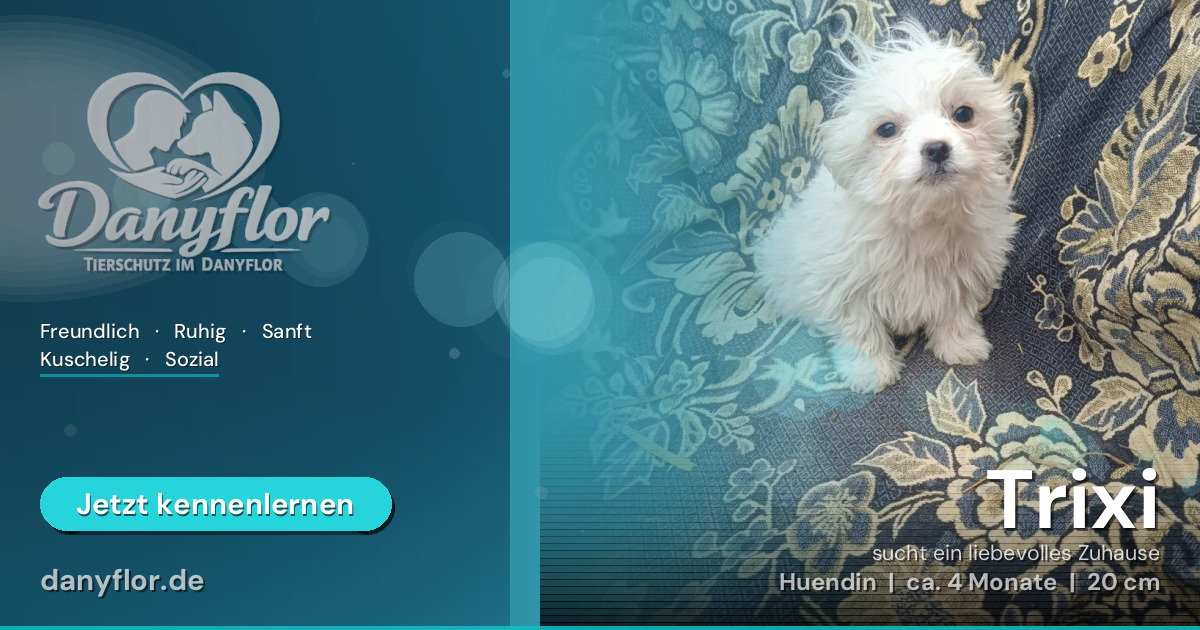 Facebook-Bild für Trixi