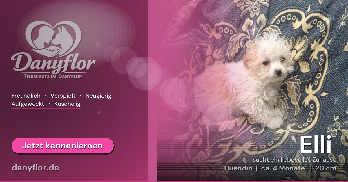 Facebook-Bild für Elli 