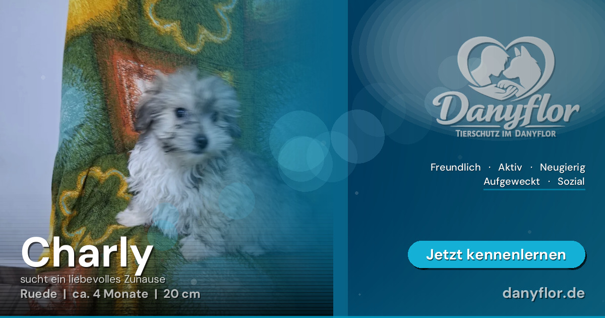 Facebook-Bild für Charly