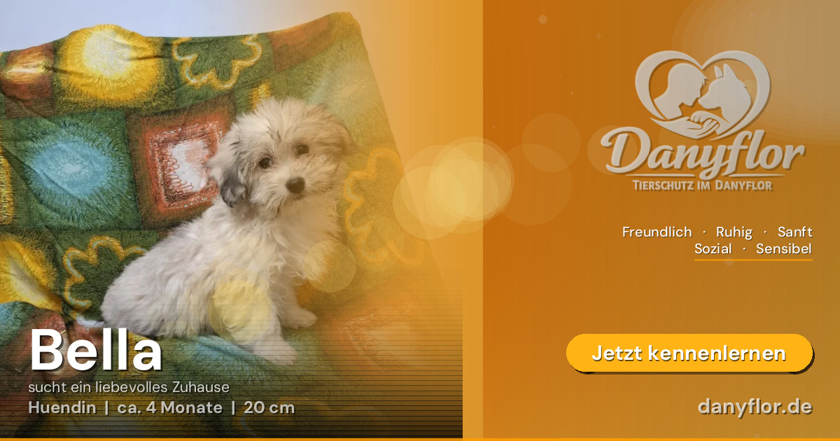 Facebook-Bild für Bella