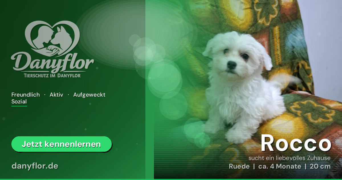 Facebook-Bild für Rocco