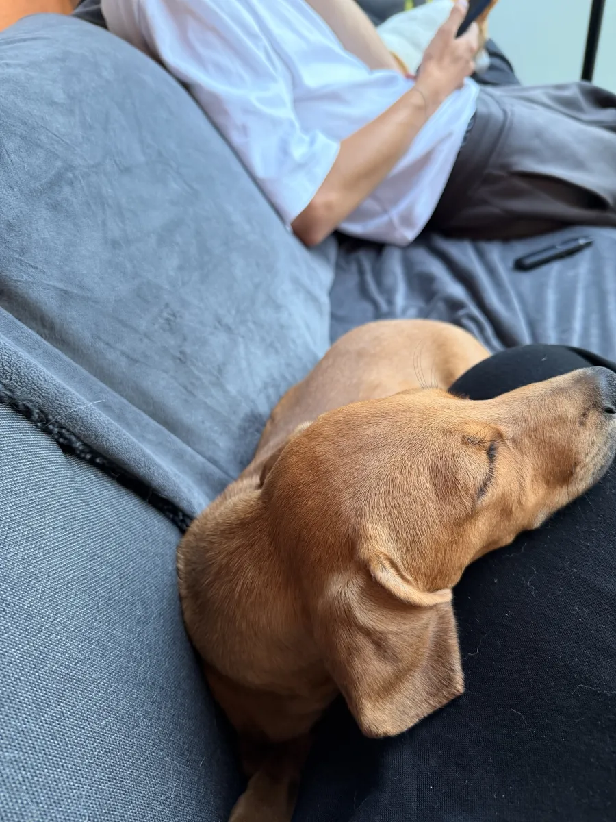 Bewertungsbild